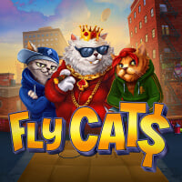 Fly Cats